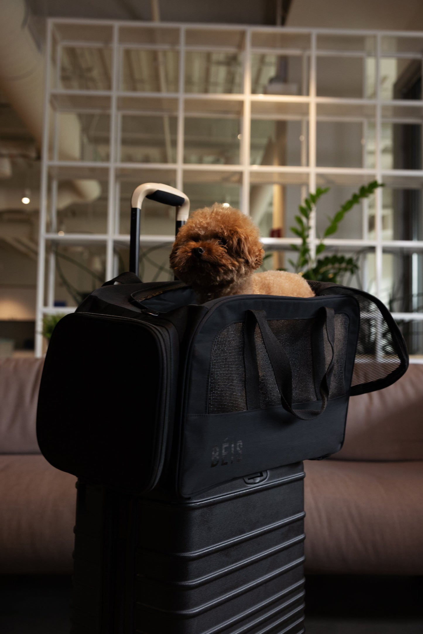 Resale The Regulation Pet Carry-on in Black