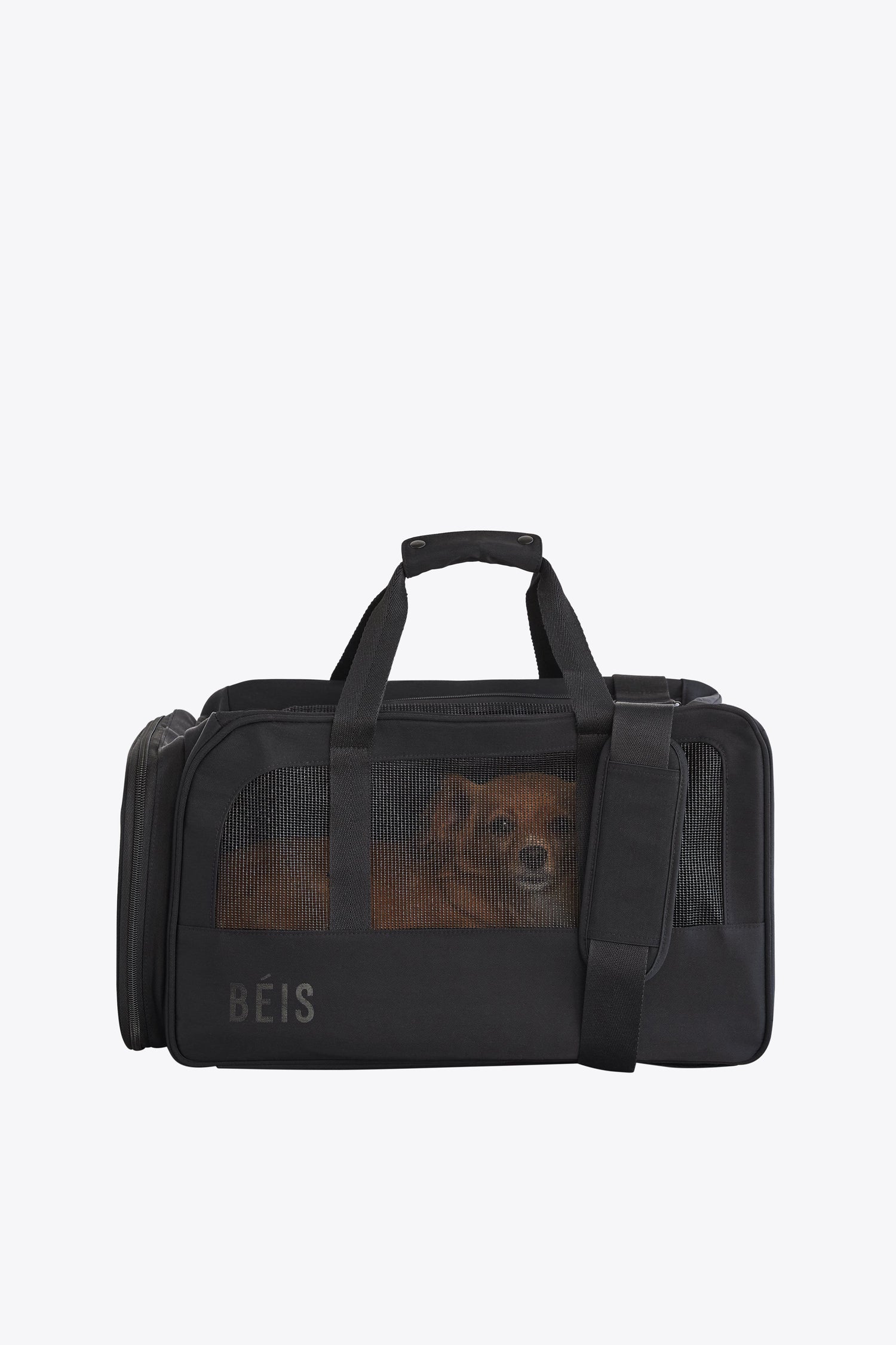 The Regulation Pet Carry-on