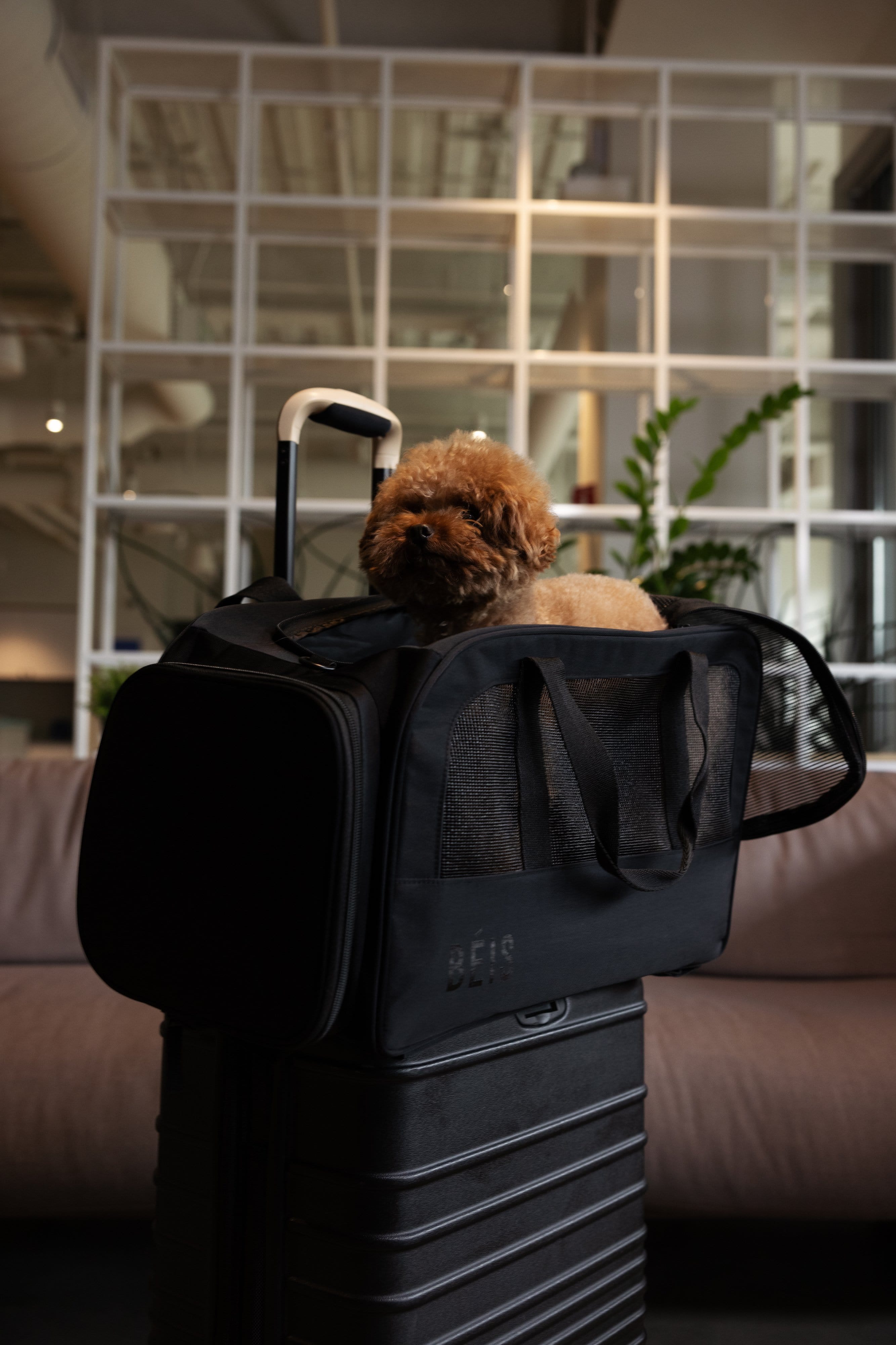 Travel Bag - Luxury Animal Print Brown - Azulna