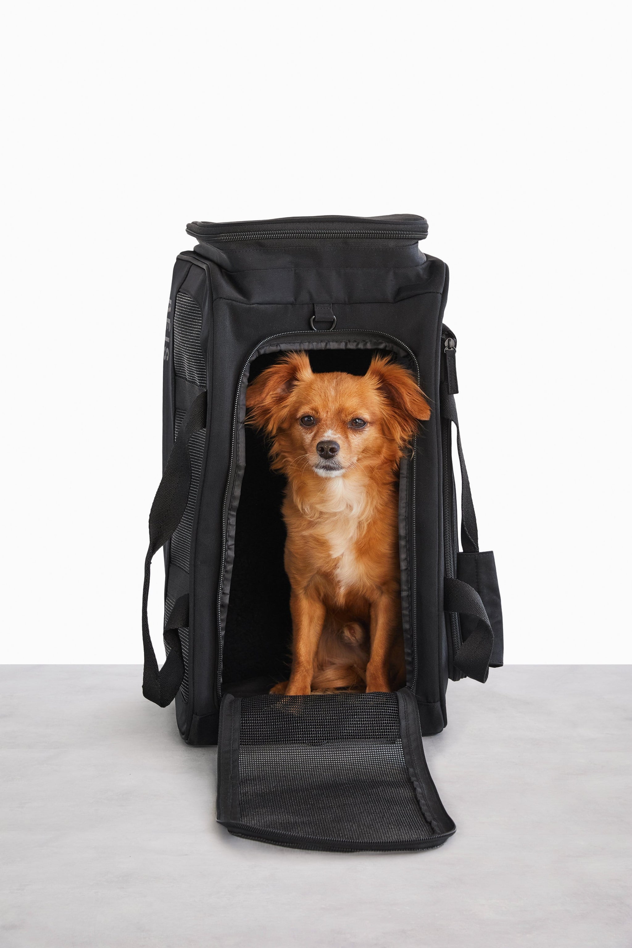 BÉIS 'The Pet Carry On' in Black TSA Regulation Pet CarryOn Bag