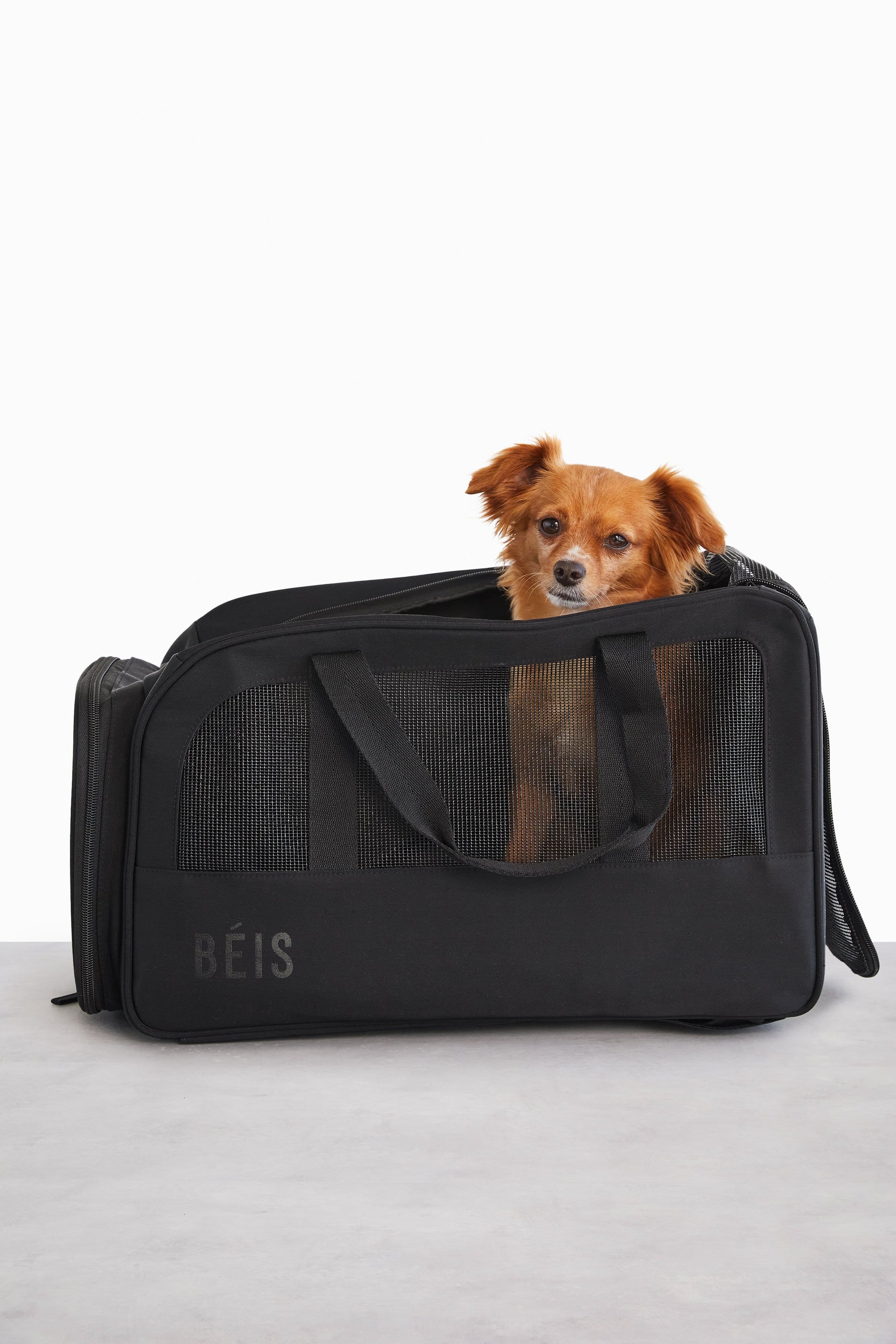 The Regulation Pet Carry-on in Black