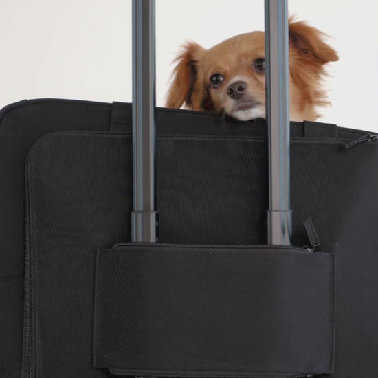 BÉIS 'The Pet Carry On' in Black - TSA Regulation Pet Carry-On Bag